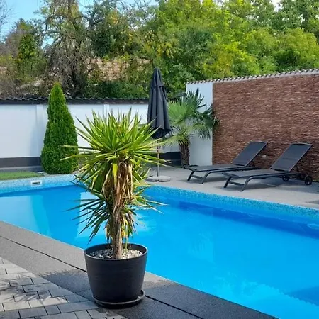 فيلة Koren Akaszto