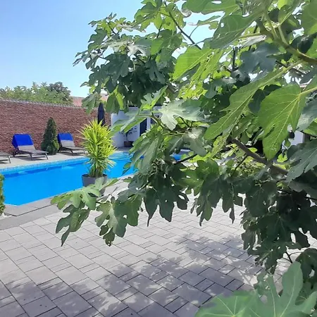 Megsz Villa
